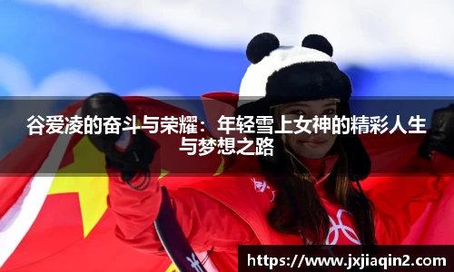 乐盈VI官网