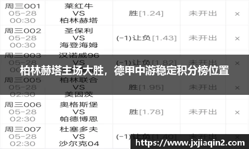 乐盈VI官网
