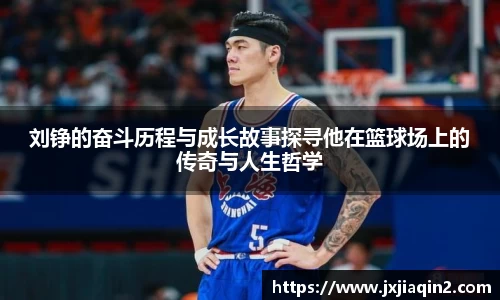 乐盈VI官网